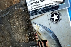 2018 England / Penzance