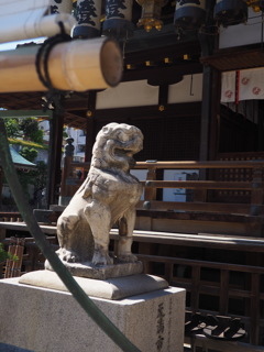 大阪天満宮の狛犬