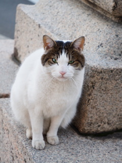 何か用？