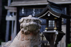 素盞嗚尊神社(大阪府吹田市)の狛犬