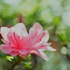 光溢れて