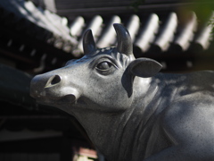 大阪天満宮の牛の像