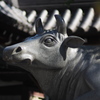 大阪天満宮の牛の像