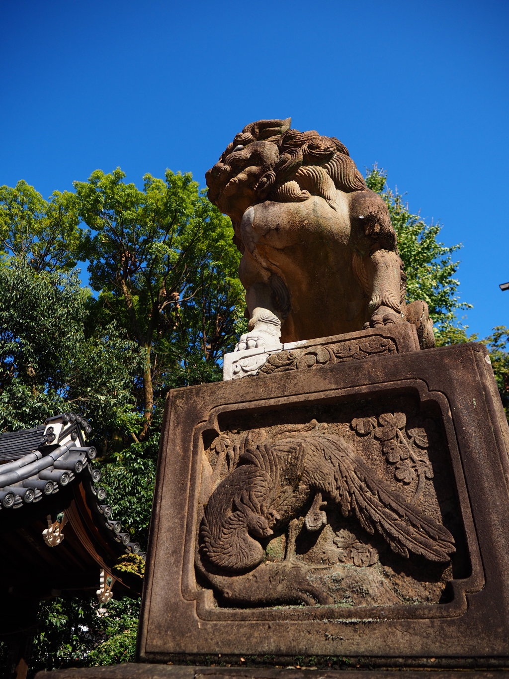 京都八坂神社の狛犬