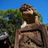 京都八坂神社の狛犬