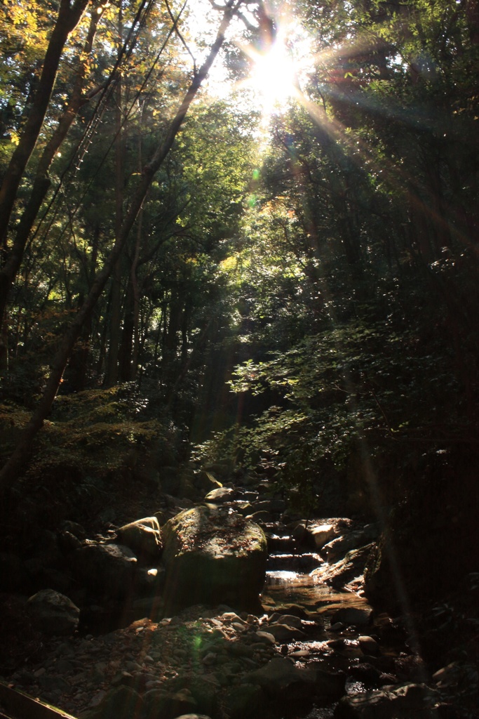 犬鳴山3