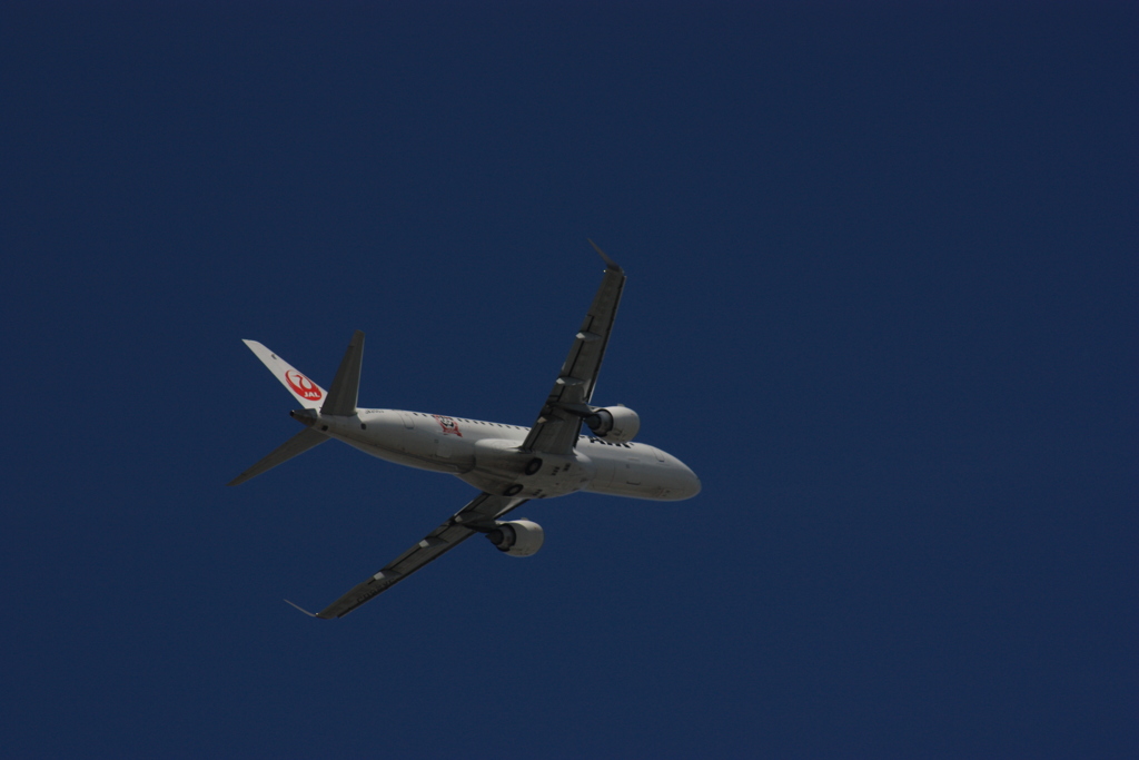 飛行機撮影@伊丹空港２