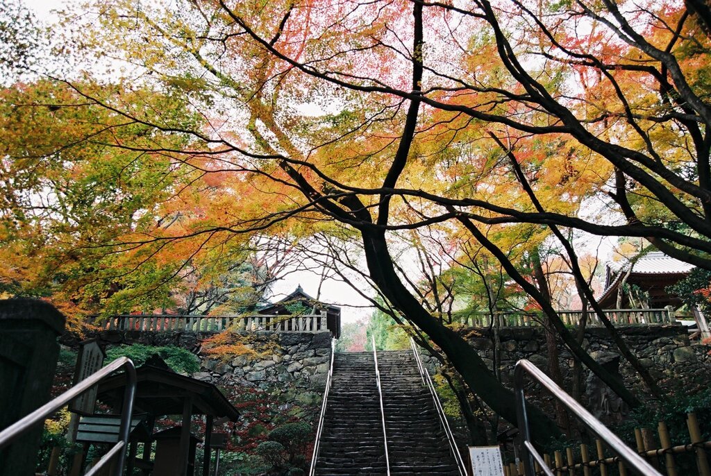 根香寺２