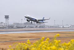 雨の高松空港