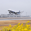 雨の高松空港