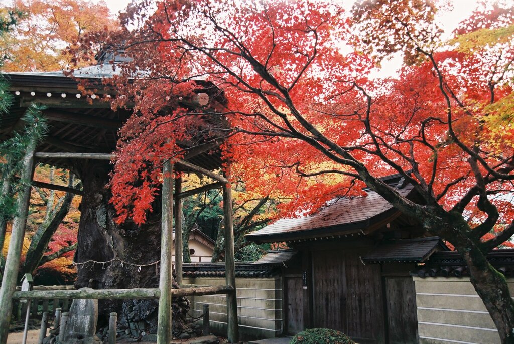 根香寺