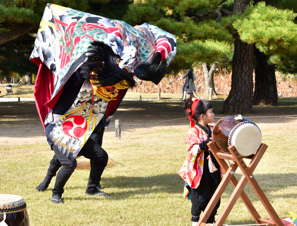 躍動する獅子