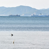 穏やかな海