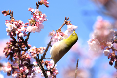 背筋をよ～く伸ばす