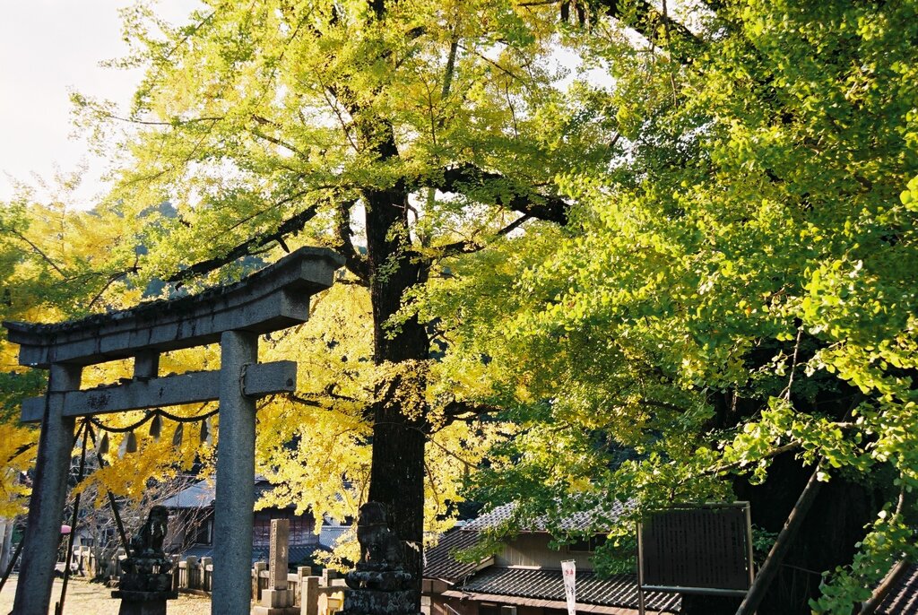 岩部八幡神社