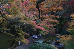 紅葉の遍路