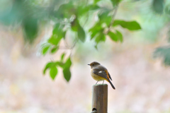 近くの公園にて ②