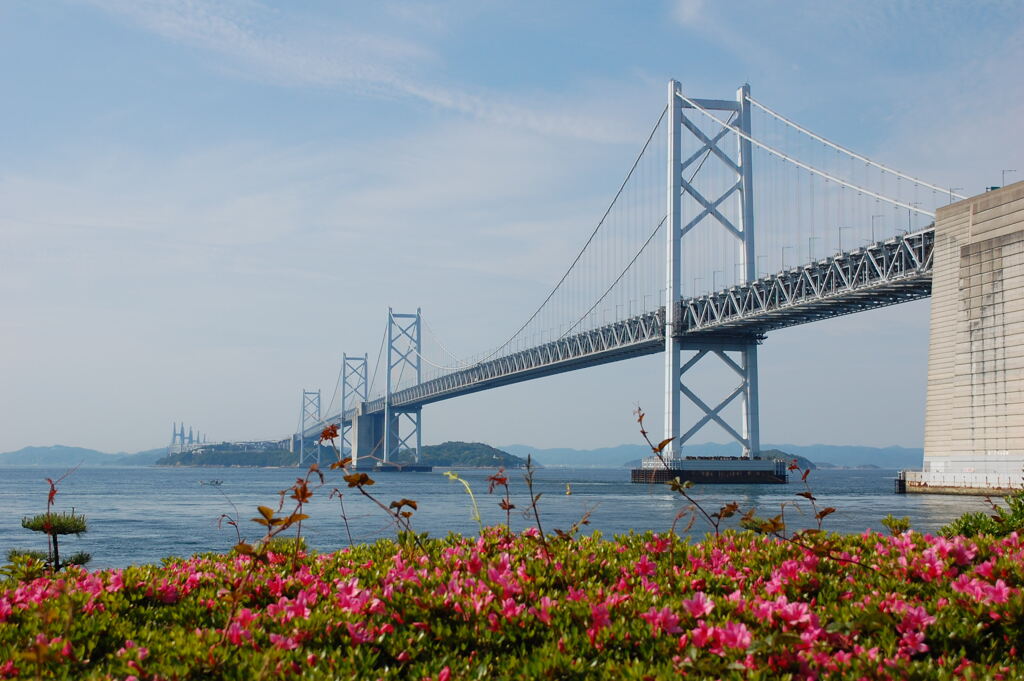 春の瀬戸大橋