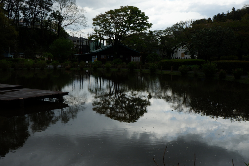 雨上がりの公園２