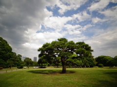 浜離宮恩賜庭園その2