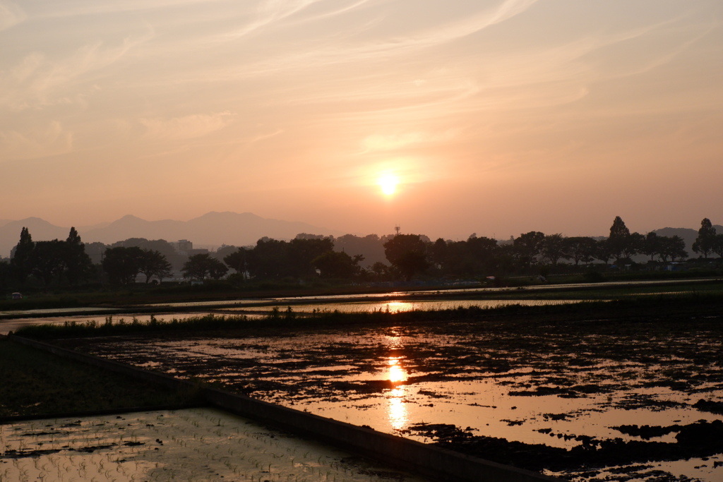 夕暮れの田園風景１