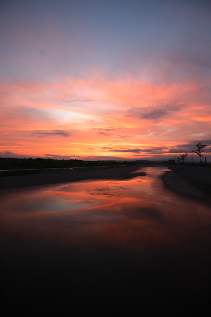 渡良瀬遊水地の夕焼け