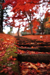 土津神社2