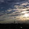 夕陽