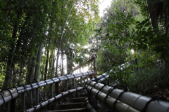 竹林ロード