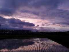 大雨の幕間