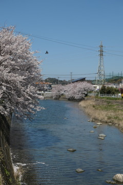 つばさをひろげて