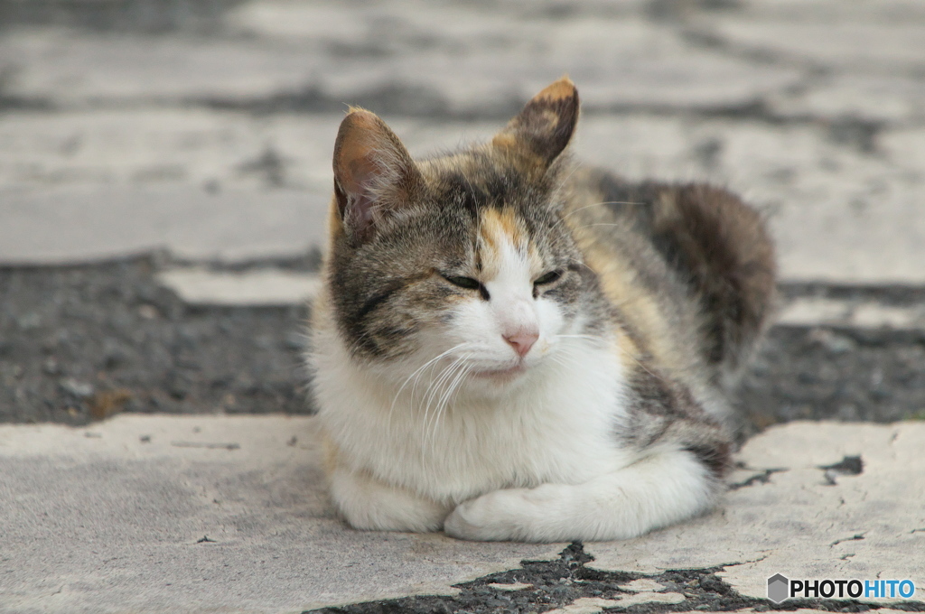 お前なんにもくれないじゃん