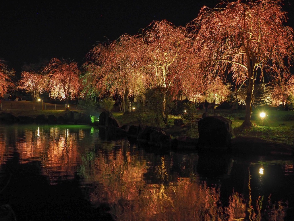 銭渕公園
