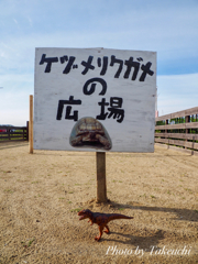 進化？退化？