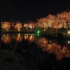 銭渕公園2