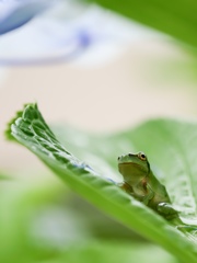 眺めはいかが？