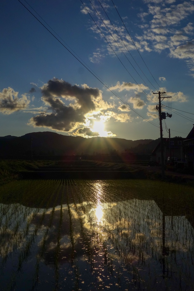 夕焼けの帰り道