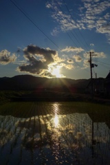 夕焼けの帰り道
