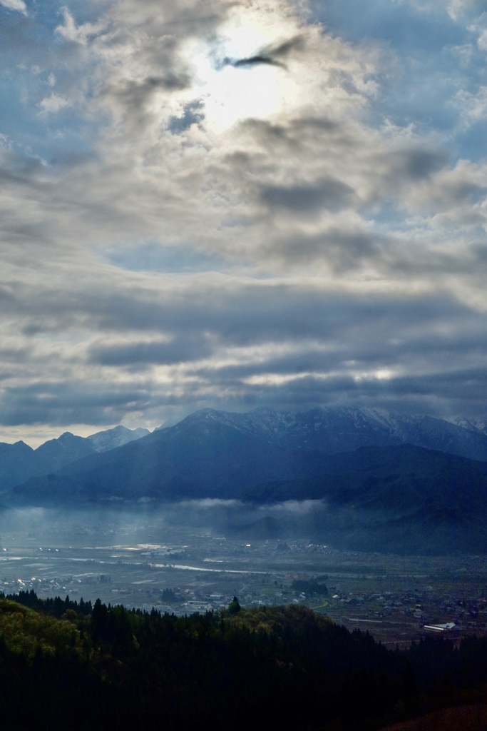 The light coming down this morning