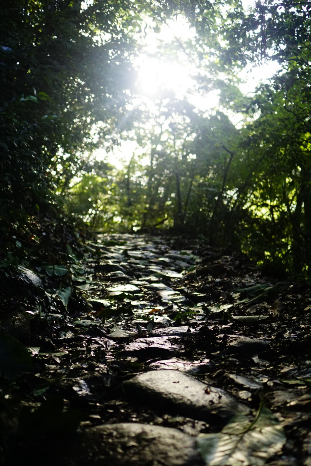 D7693329-5A12-4E61-8A1A-542C0556462F