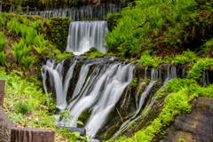 白糸の滝001