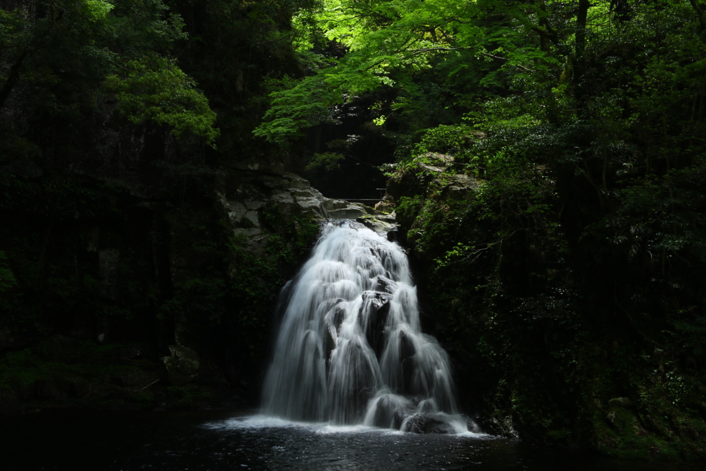 赤目四十八滝　千手滝