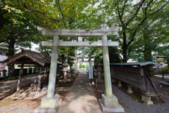 晩夏の通り道