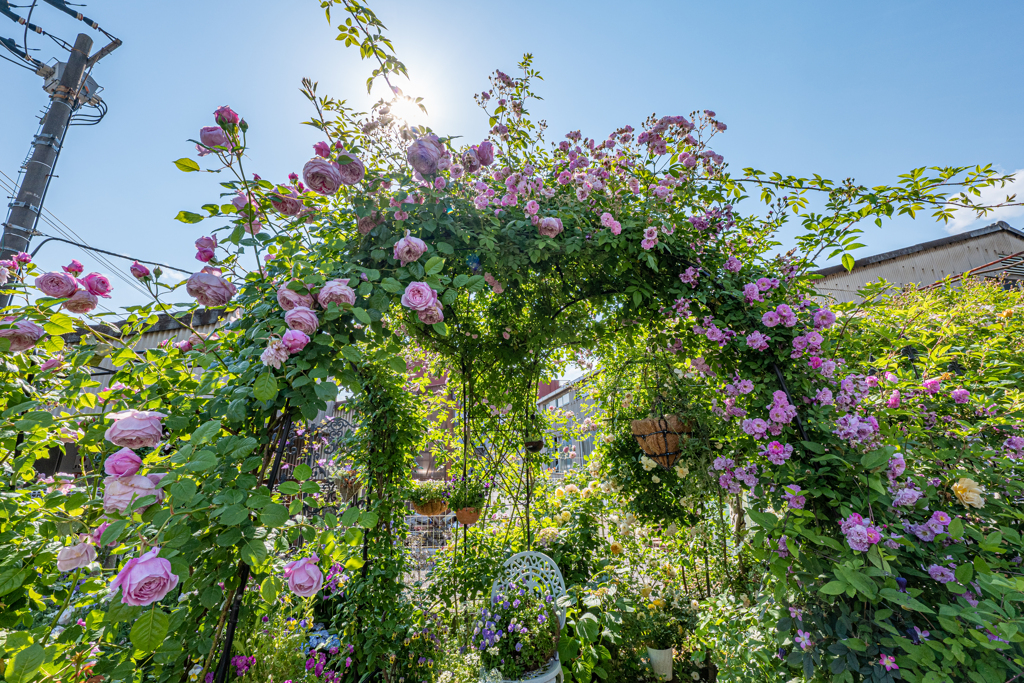 コンビニの花園＾＾￥