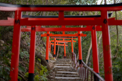 上賀茂神社内にあった　お稲荷様への道