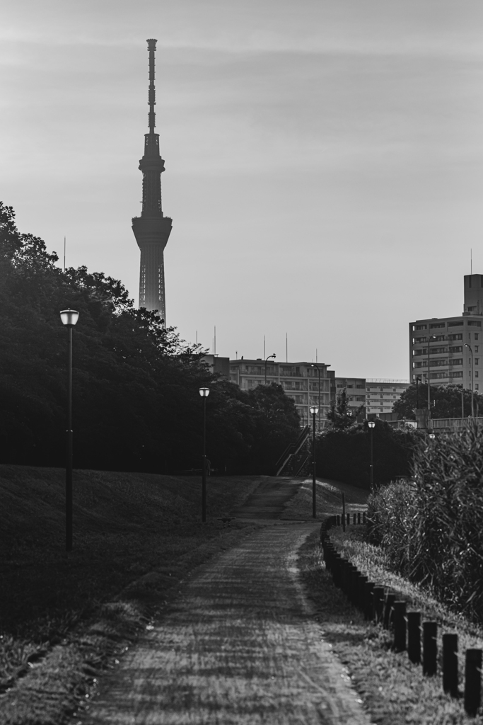 ちょっとスカイツリー＾＾￥モノクロ②