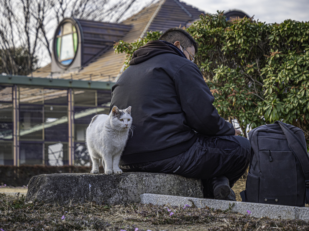 人恋しい猫＾＾￥