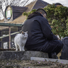 人恋しい猫＾＾￥
