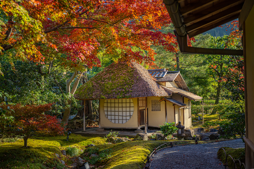 ねねさまの茶室＾＾￥
