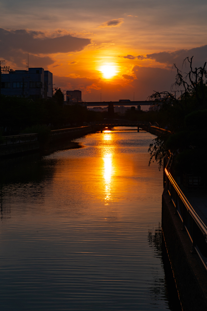 美しい夕暮れ③